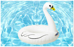 bouee cygne piscine center 1492507948