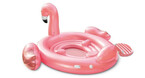 ile geante flamant rose piscine center 1557756649