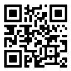 intex qr code 26334gn_736