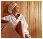 sauna vapeur ecolo 6 places piscine center 1434027783